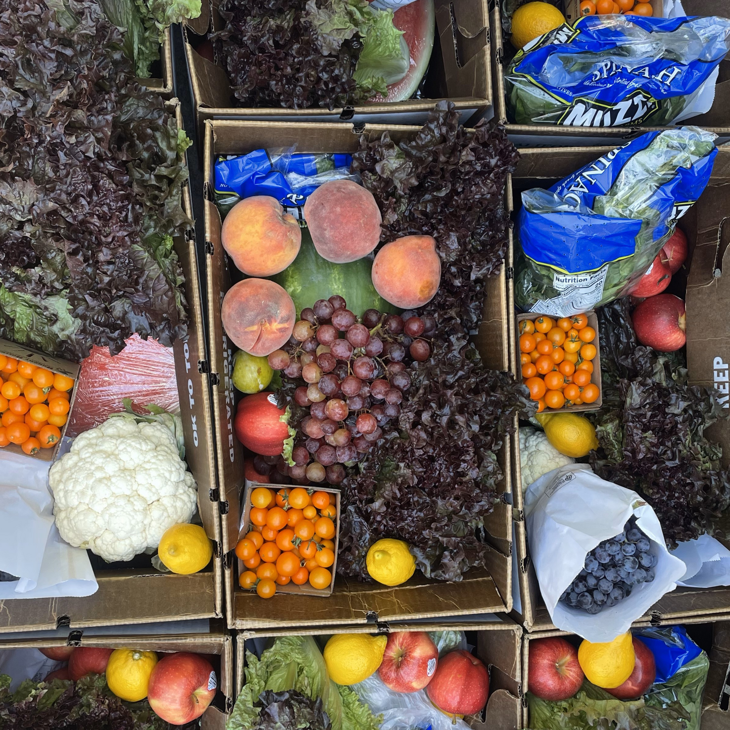 Monthly Harvest Box