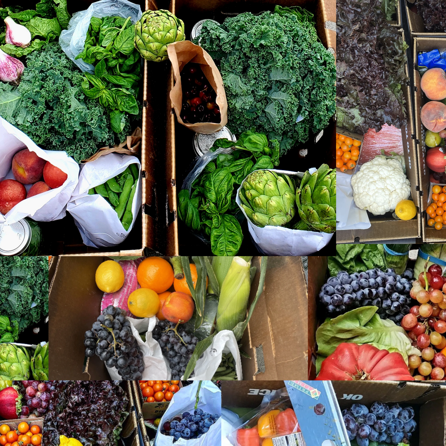 Weekly Harvest Box